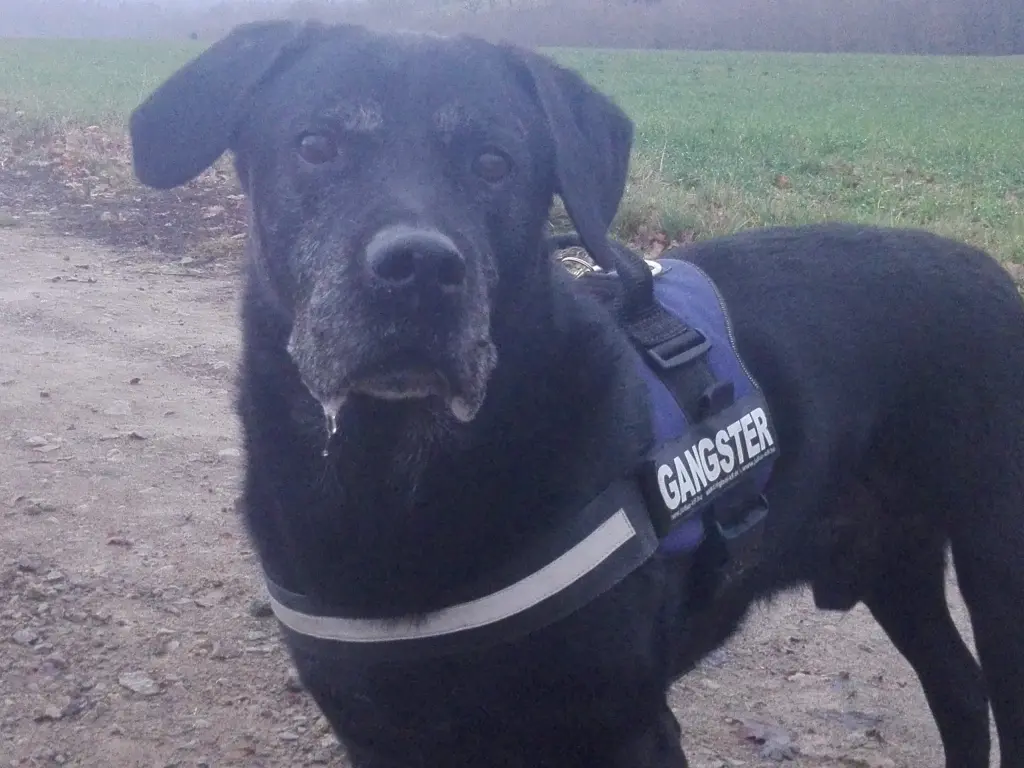 Condolence image of Mama