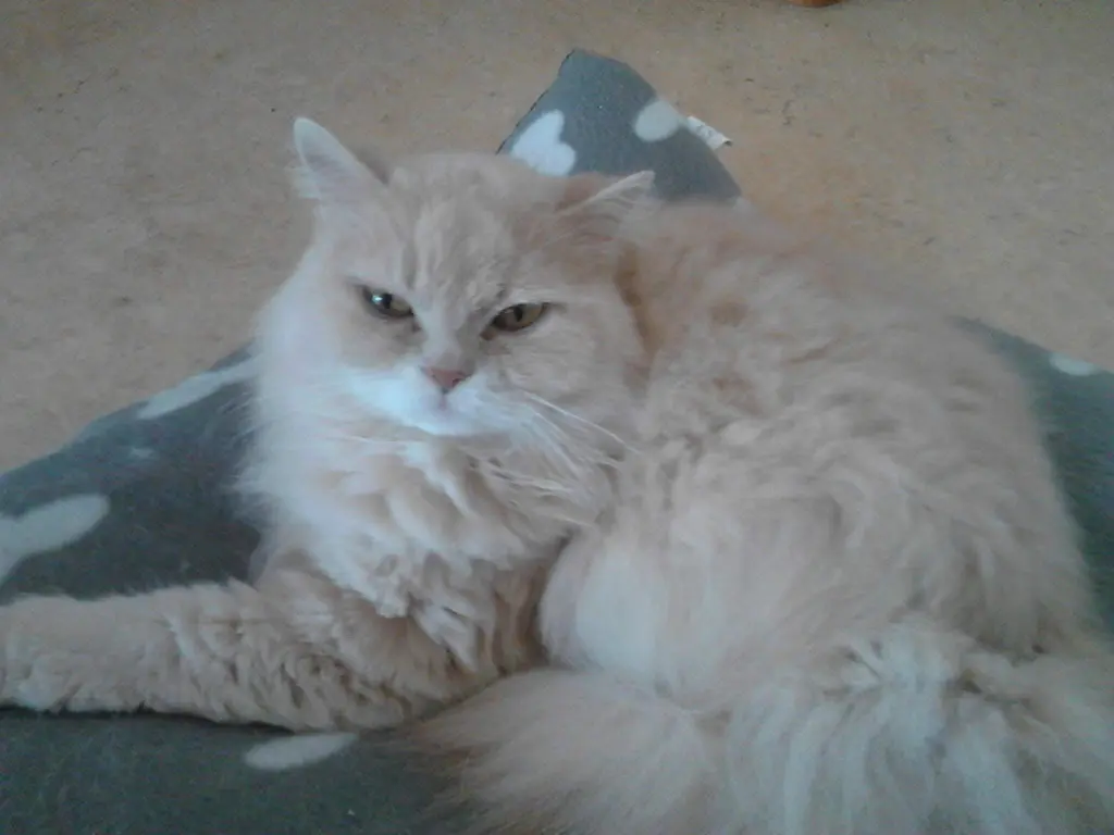 Condolence image of Mama