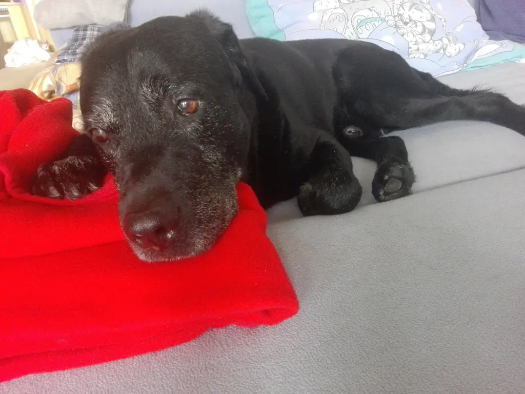 Condolence image of Mama ❤️