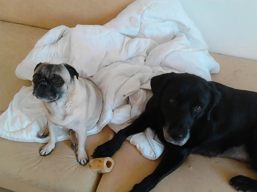 Condolence image of Mama❤️