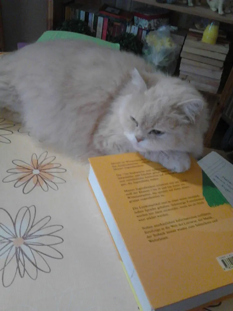 Condolence image of Mama❤️