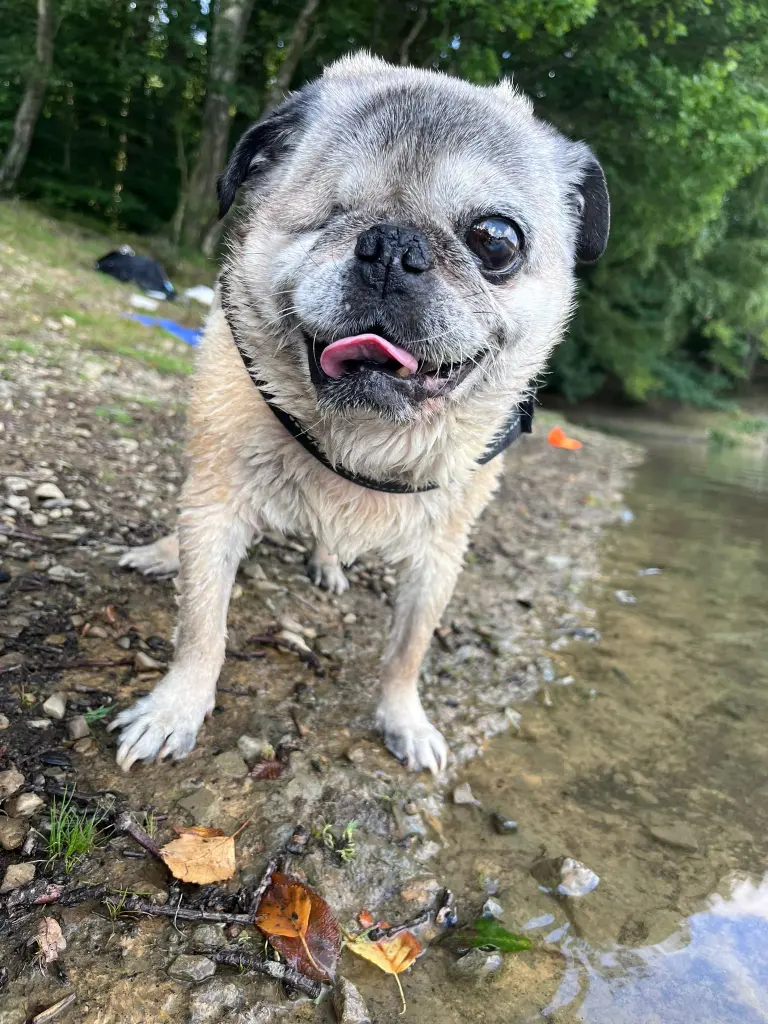 Condolence image of Oma❤️