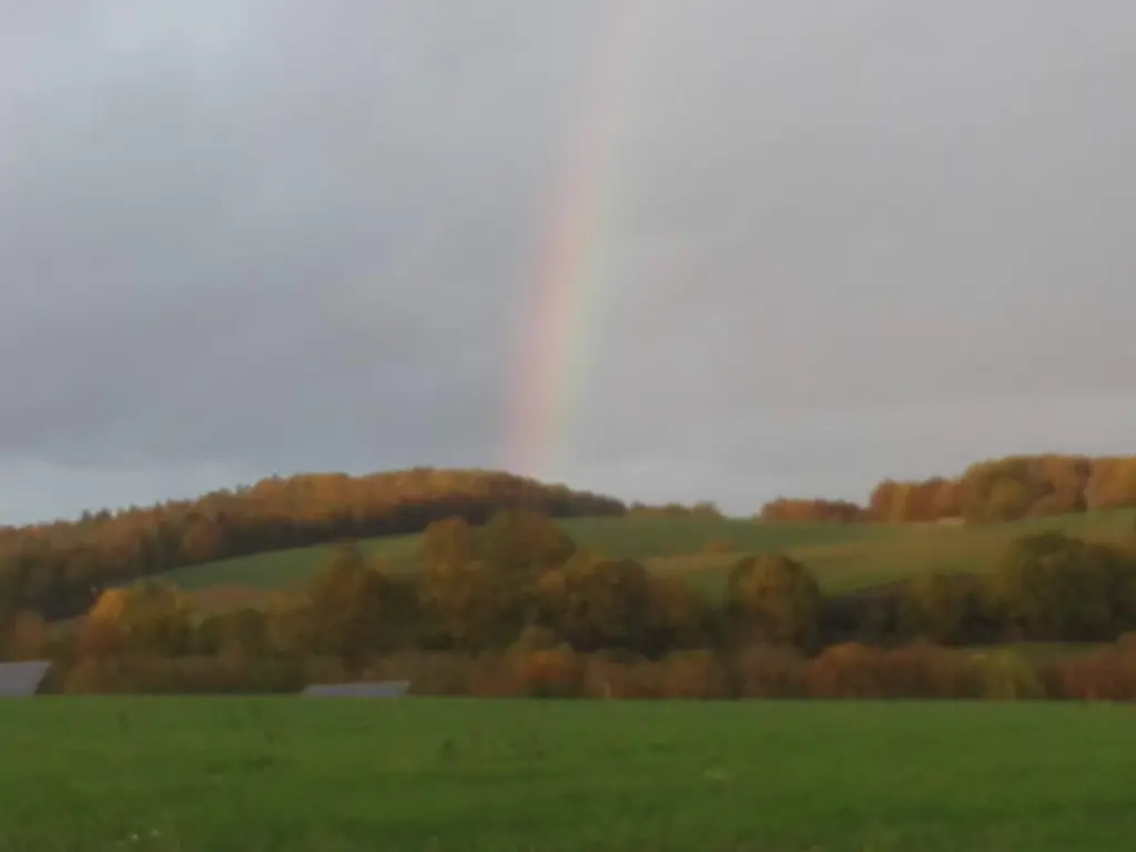Condolence image of Mama/Oma❤️