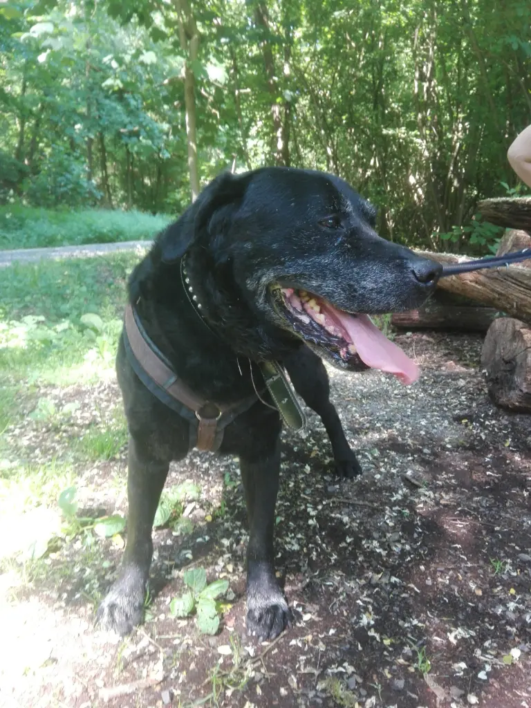 Condolence image of Mama❤️