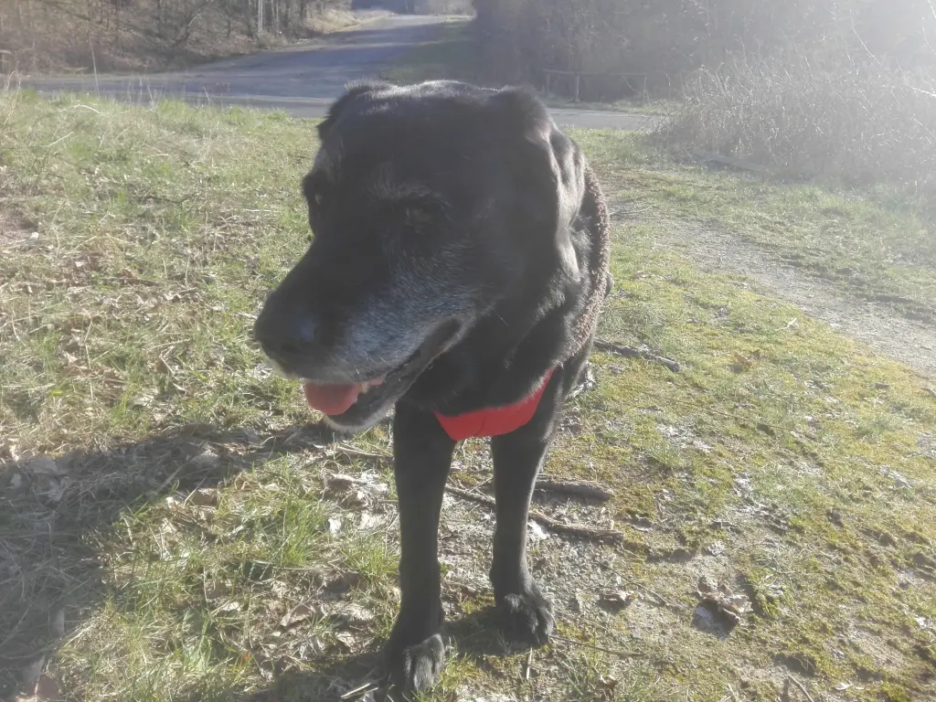 Condolence image of Mama❤️