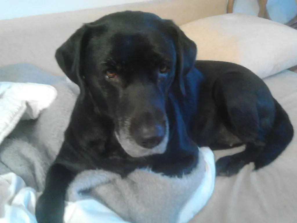 Condolence image of Mama❤️