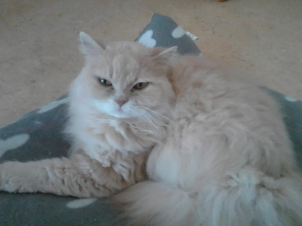 Condolence image of Mama