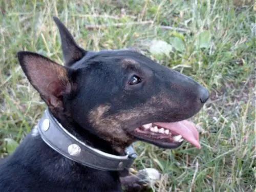Bild von Lotti