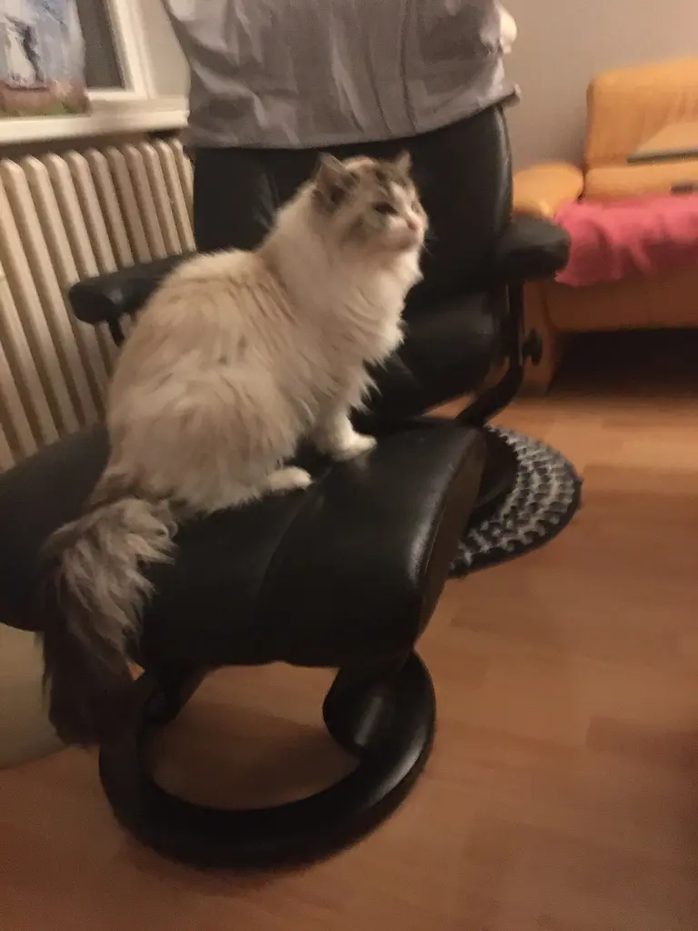 Condolence image of Sabine mit Pretty tief im Herzen