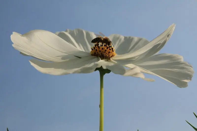 Condolence image of Unbekannt