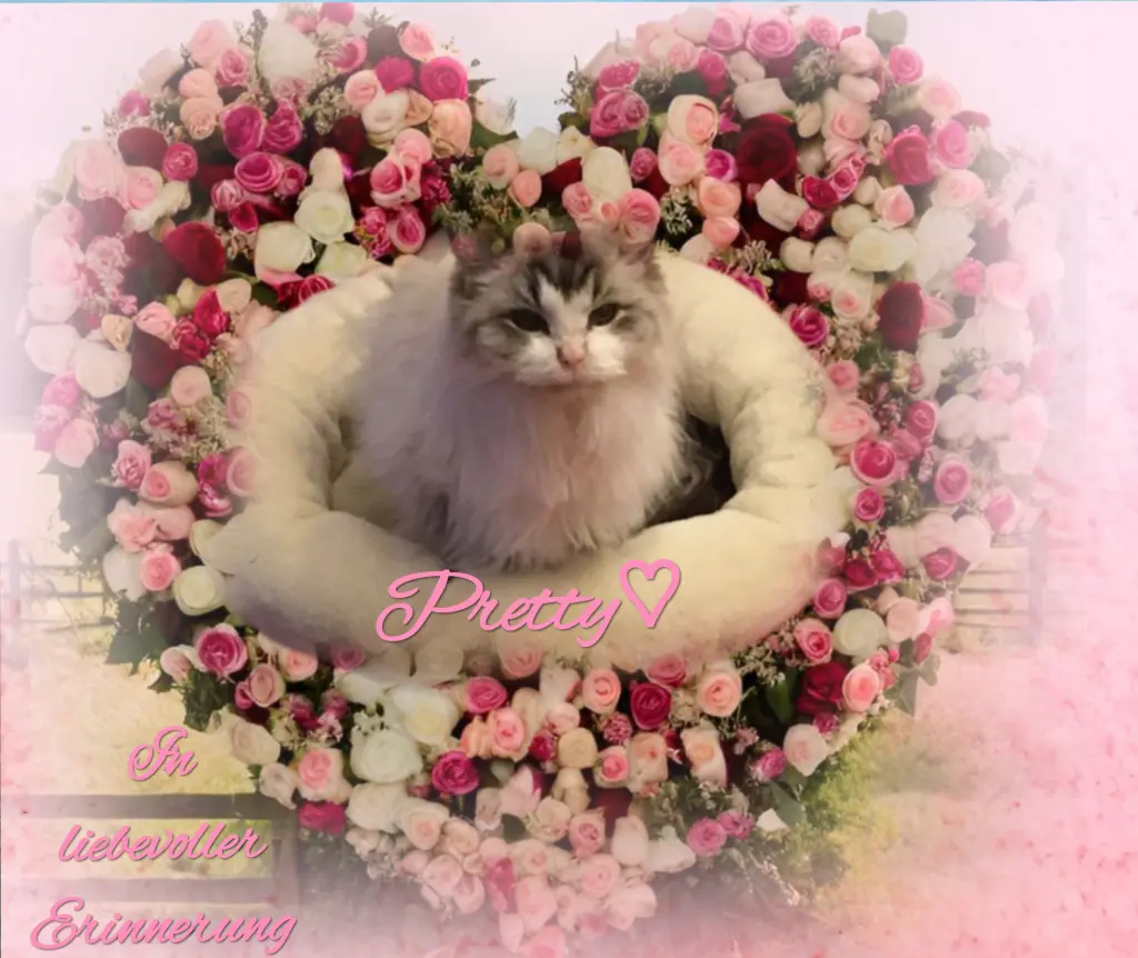 Condolence image of ♡