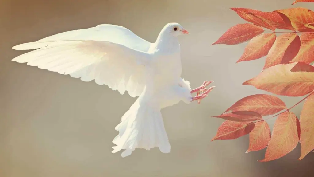 Condolence image of In liebevollem Gedenken♡