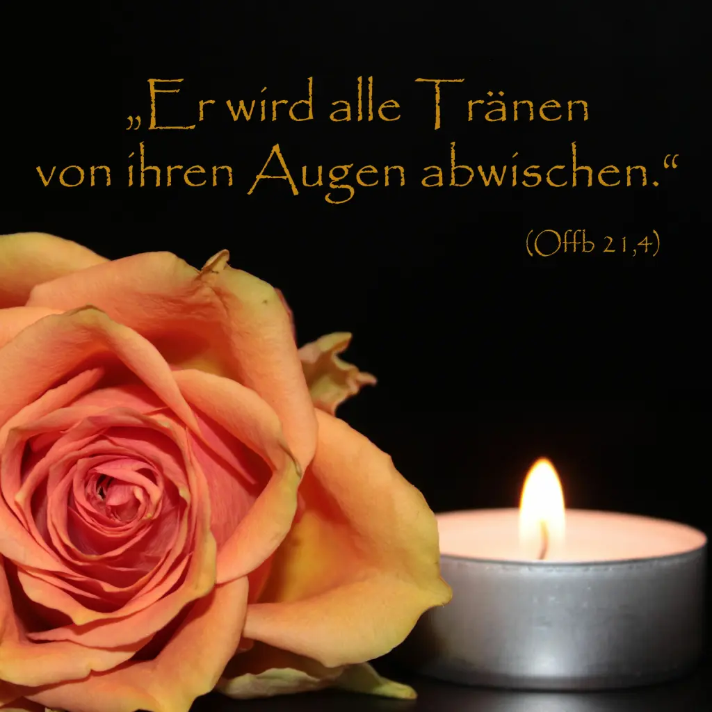 Condolence image of Ein stiller🌹Gruß in die Ewigkeit von Gaby mit ♡☙Snowy☙♡