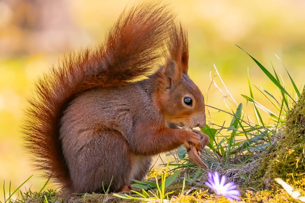 Condolence image of 🌹 Ein ♡ herzlicher ♡ Gedanken ♡ Gruß♡ 🌹
