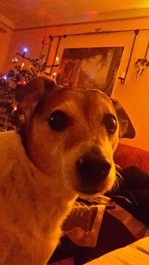 Image from Lutzy