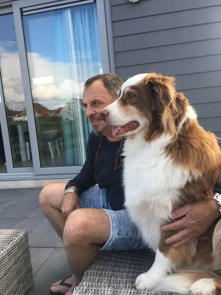 Image from Mylo