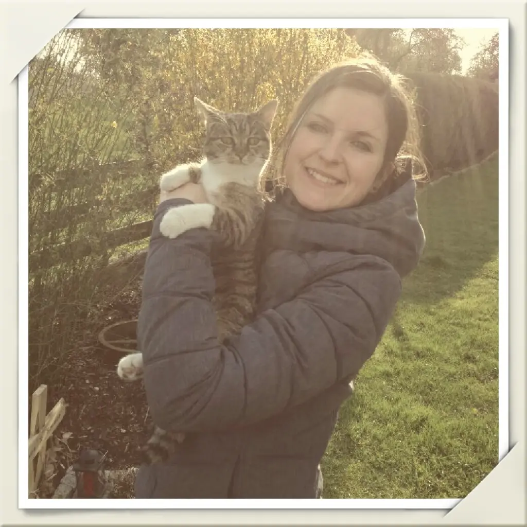 Image from Neele