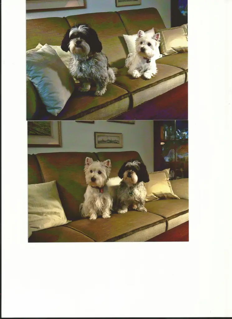 Image from Julie