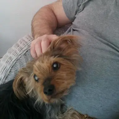 Condolence image of Deine Hundemama, Dein Hundepapa und Dein geliebter Benji und Deine Rosalie