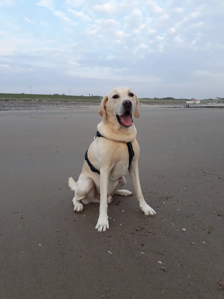 Condolence image of Andrea