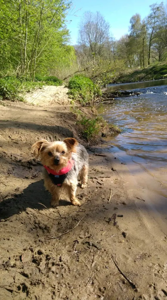 Condolence image of Martina und Lotte Prüfer
