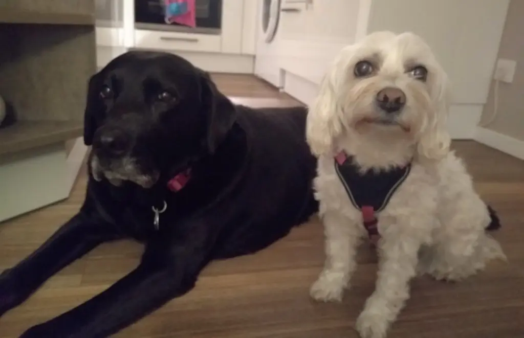 Condolence image of Hansi, Marion und Maya