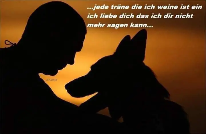 Condolence image of Unbekannt