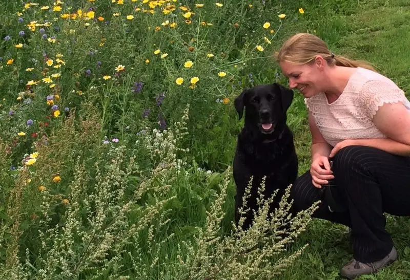 Condolence image of Dein Frauchen 