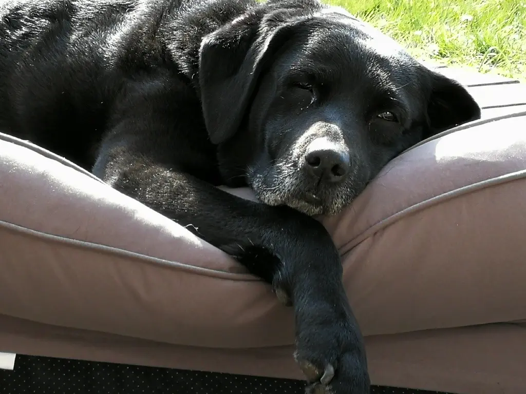 Image from Emma - made in heaven