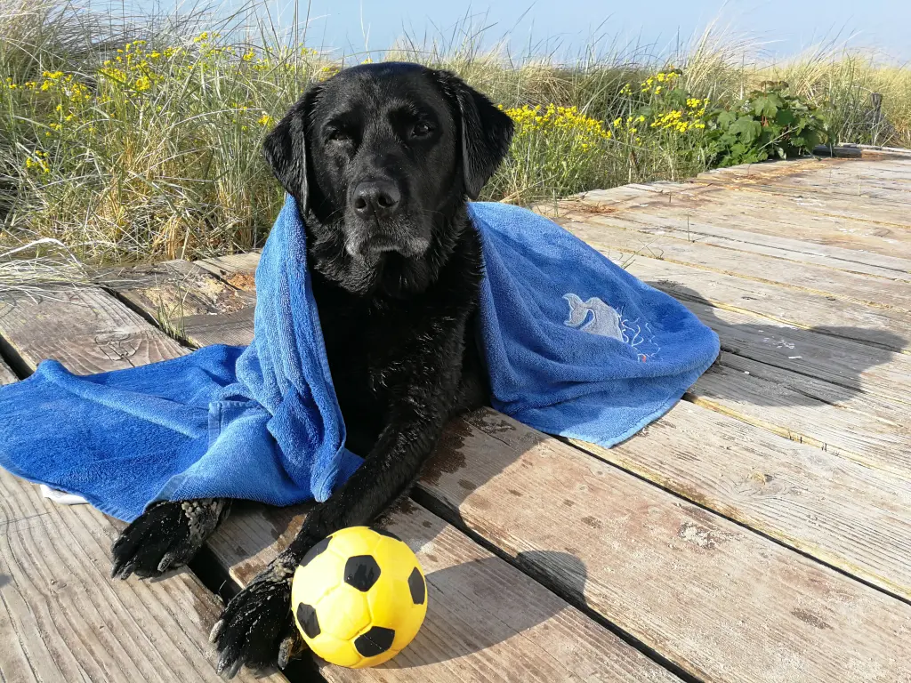 Image from Emma - made in heaven