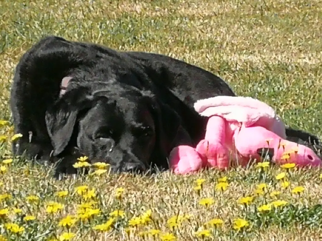 Image from Emma - made in heaven