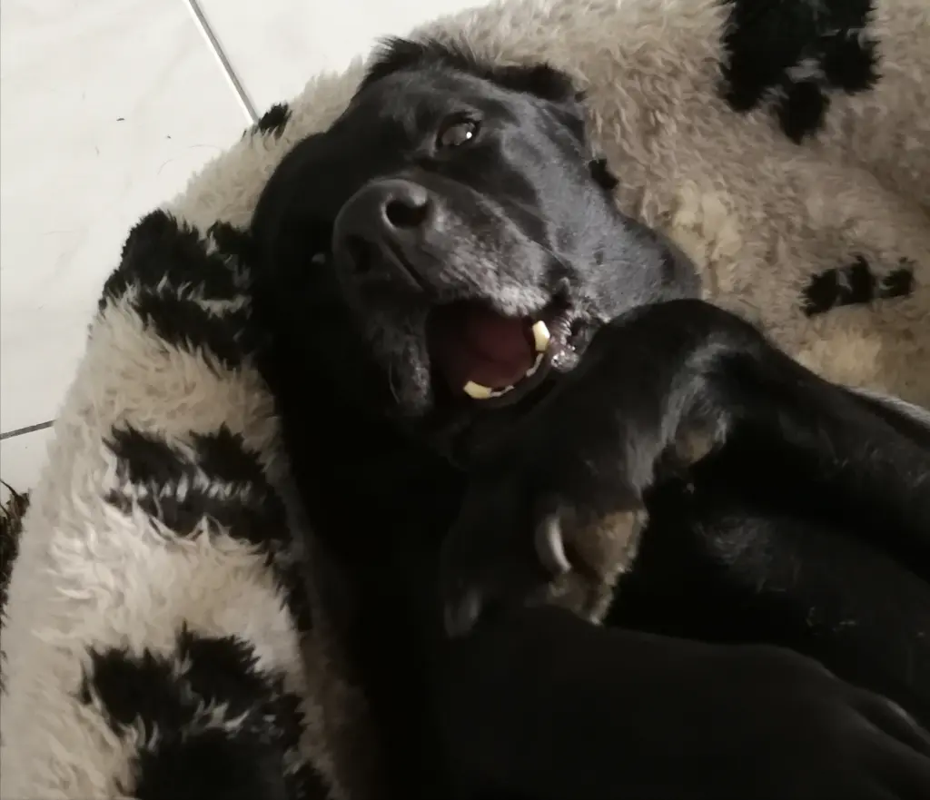 Image from Emma - made in heaven