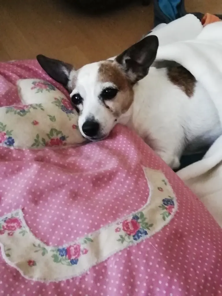 Image from Chayenne