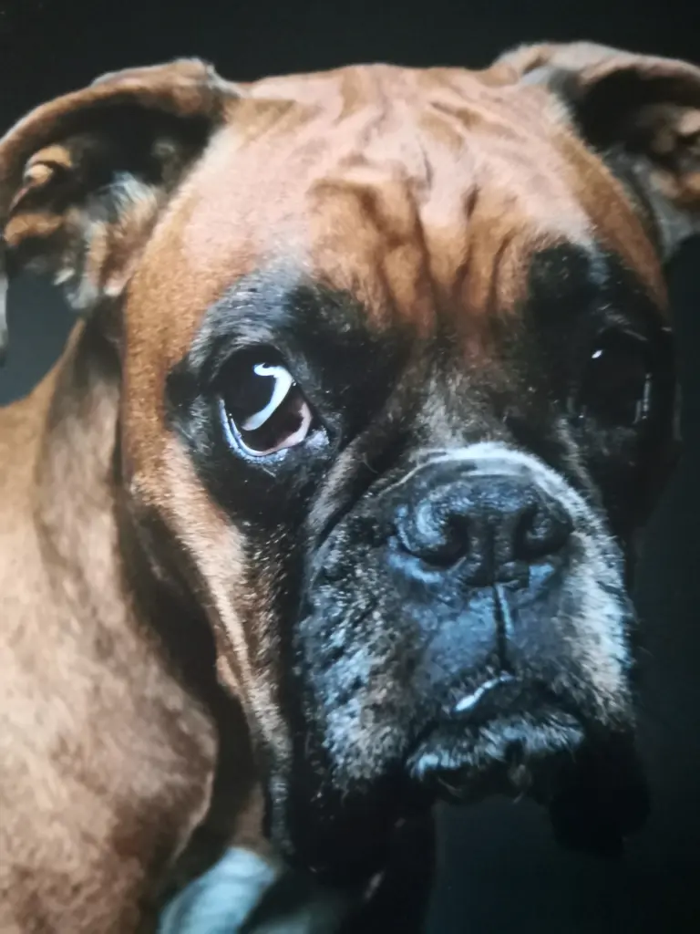Bild von Lotta