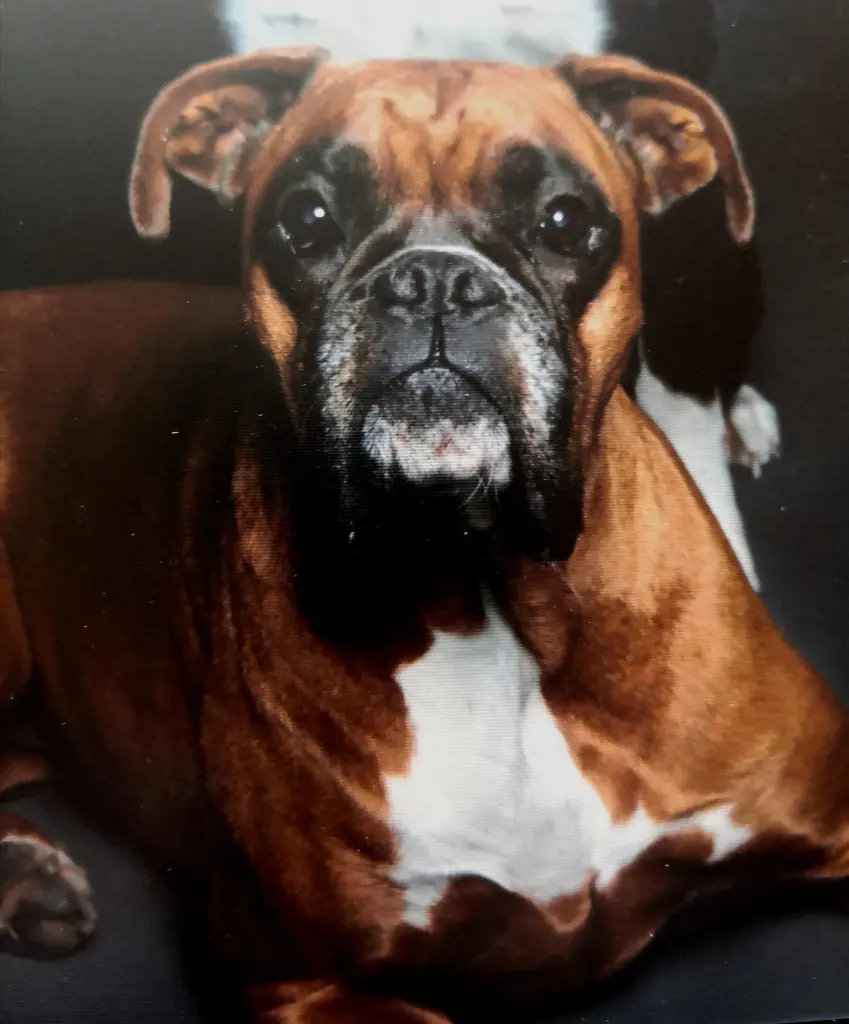 Bild von Lotta