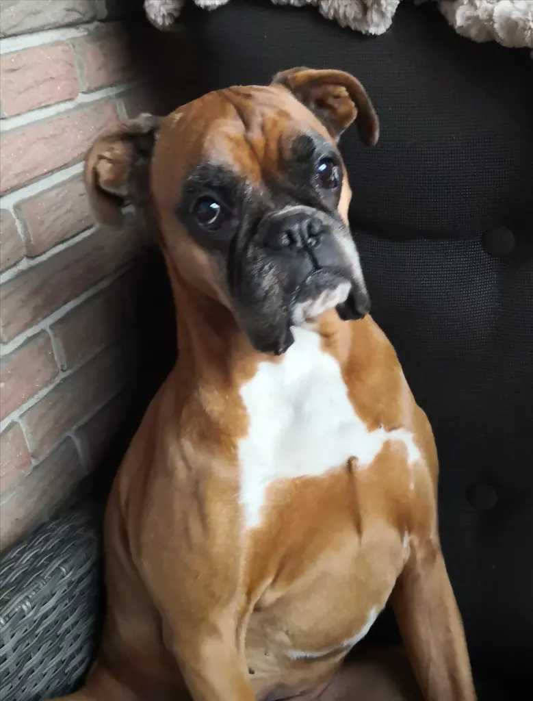 Bild von Lotta