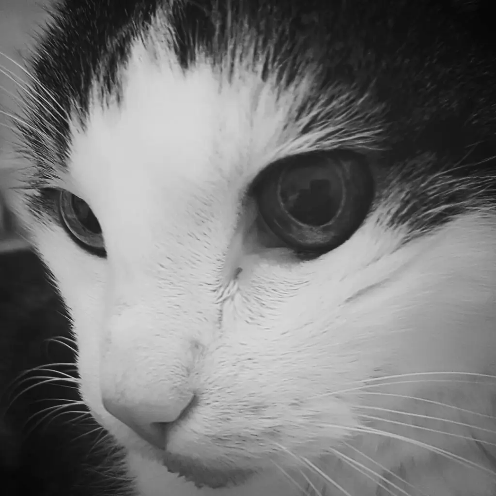 Condolence image of Daniela mit Whisky