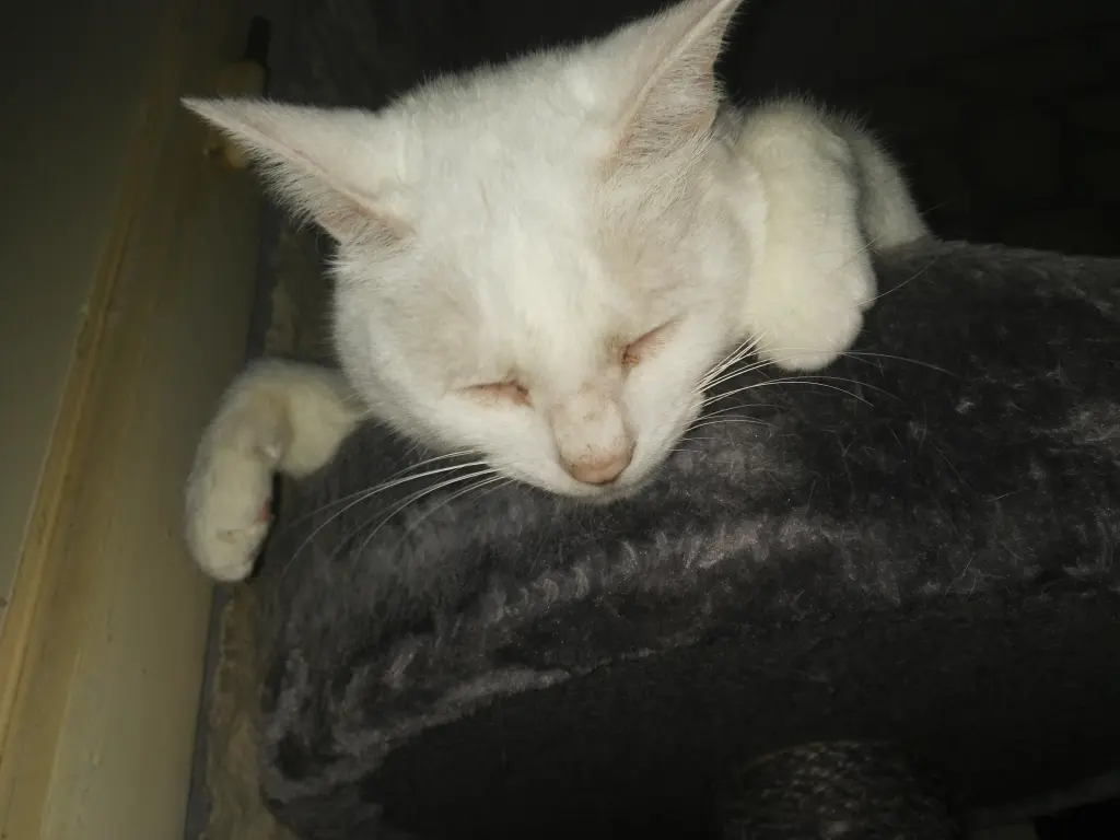 Condolence image of Marion