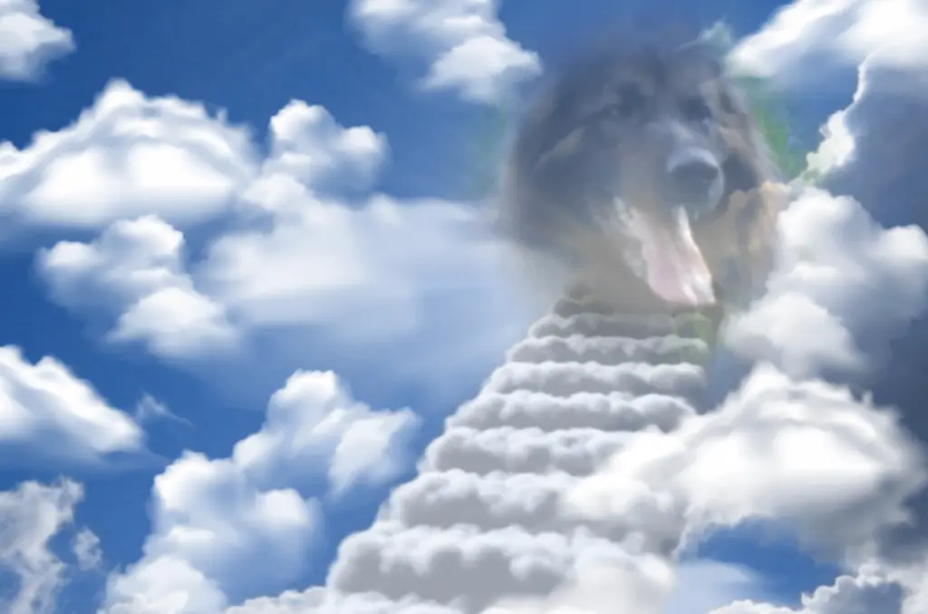 Andachtsbild von Birgit 