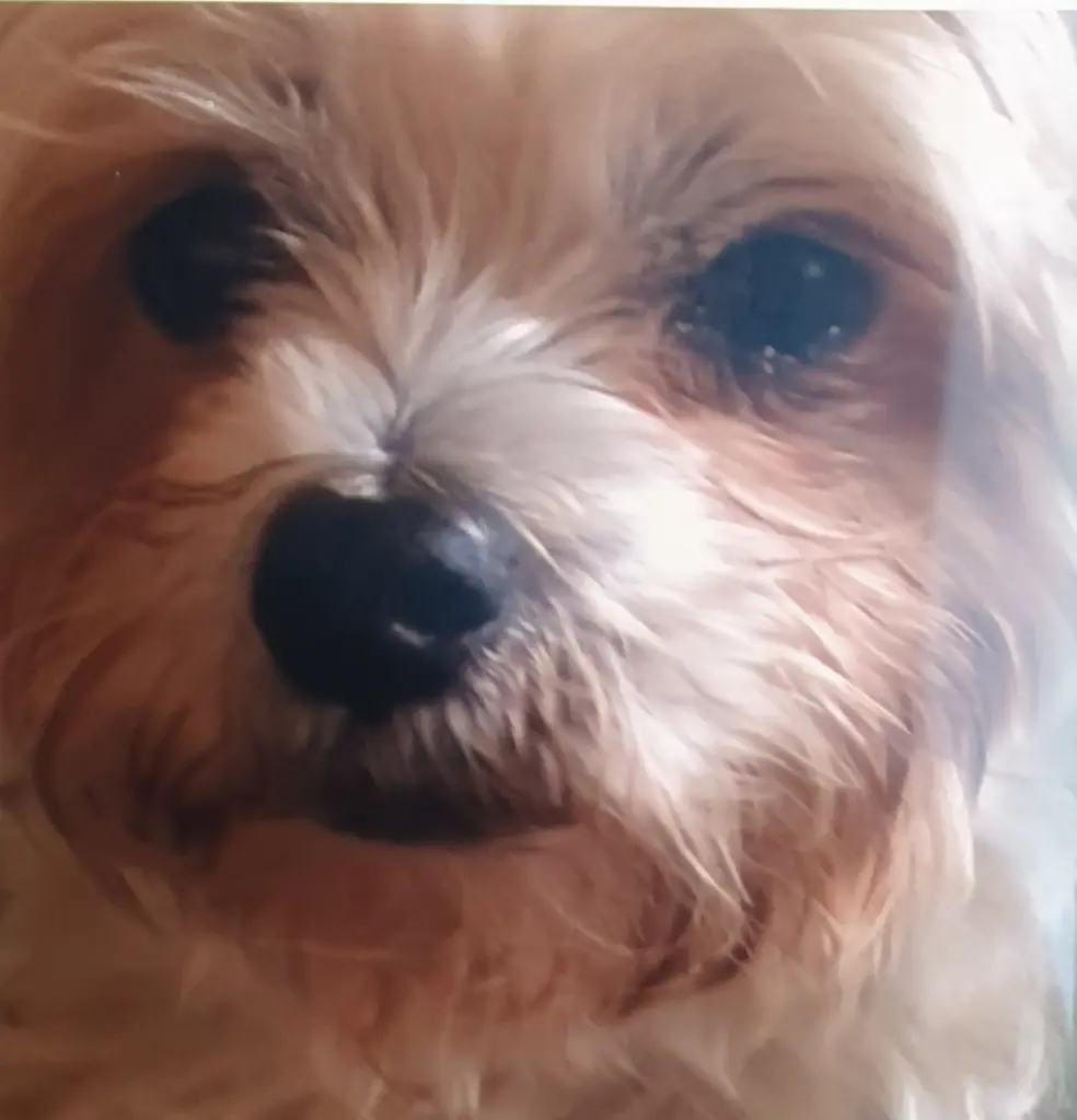 Image from Max