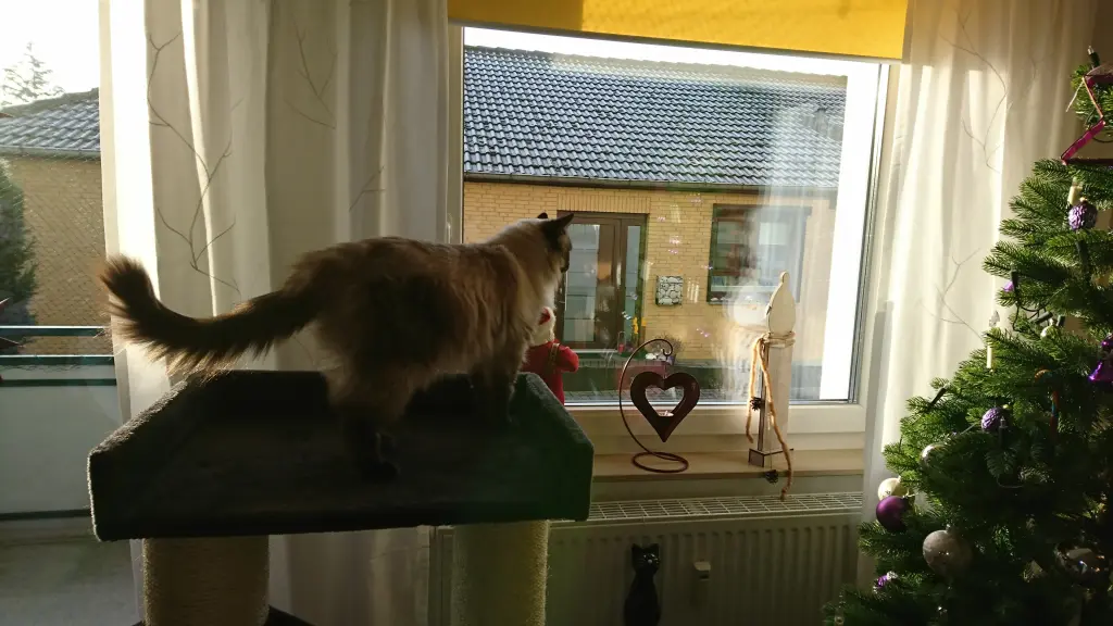 Image from Maja (Mamselle)
