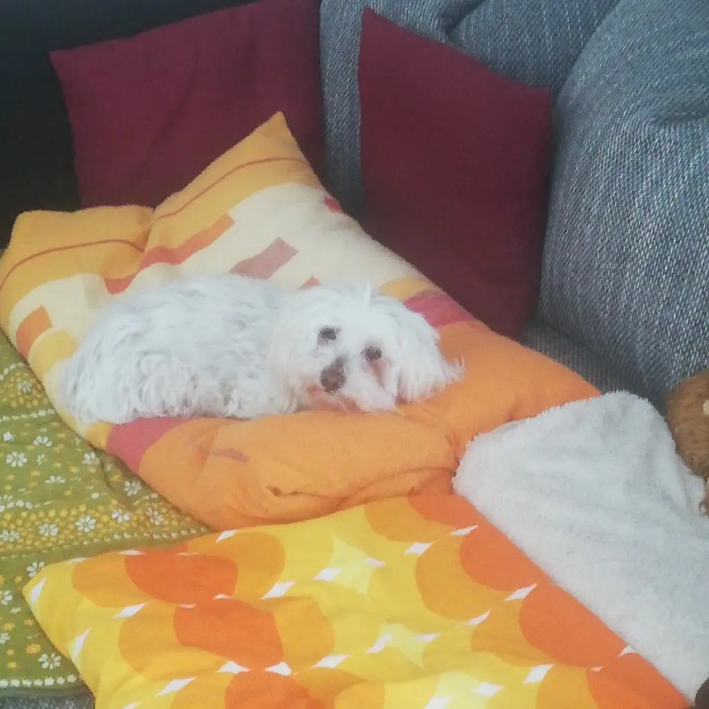 Image from Candy