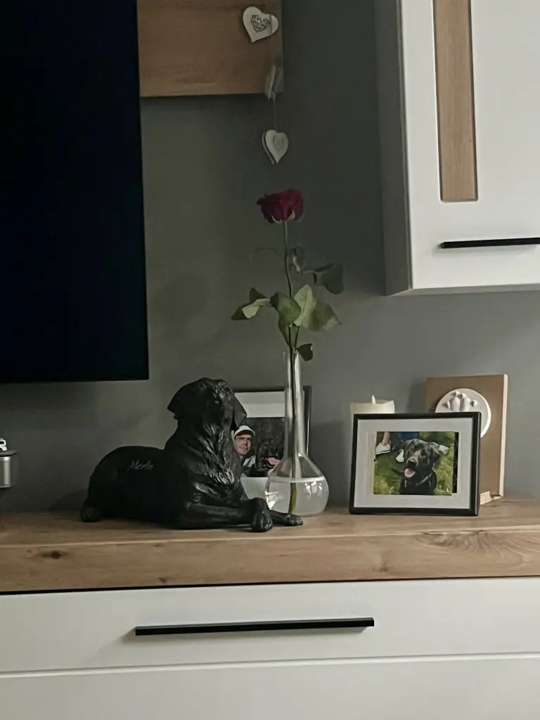 Condolence image of Unbekannt