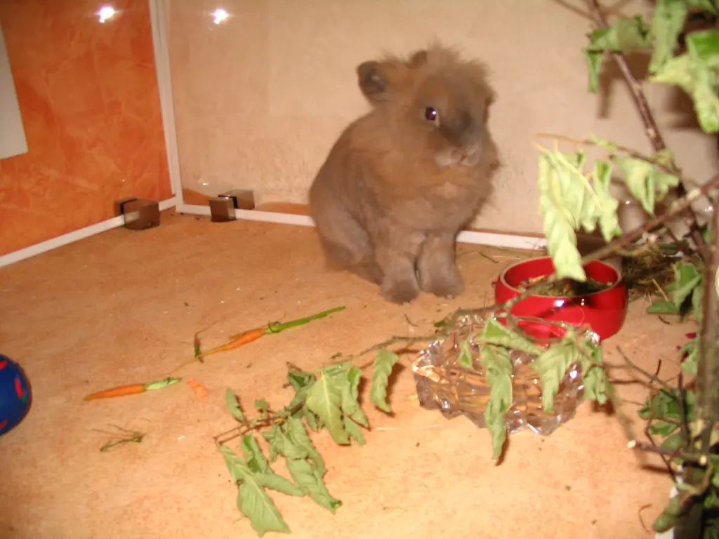 Image from Jimmy