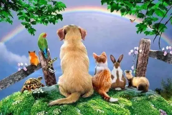 Condolence image of Yvi