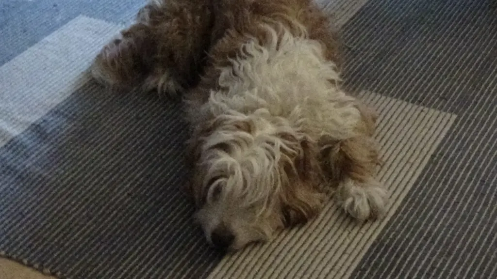 Condolence image of Amelia