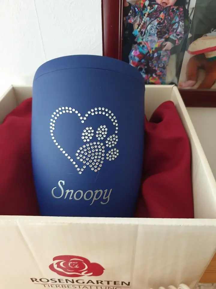 Image from Snoopy