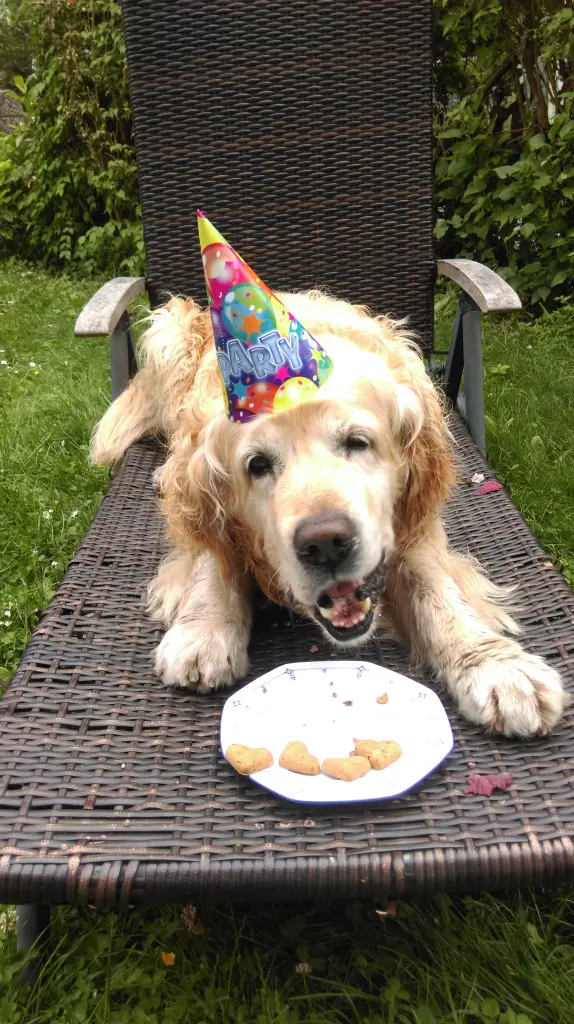 Image from Cookie