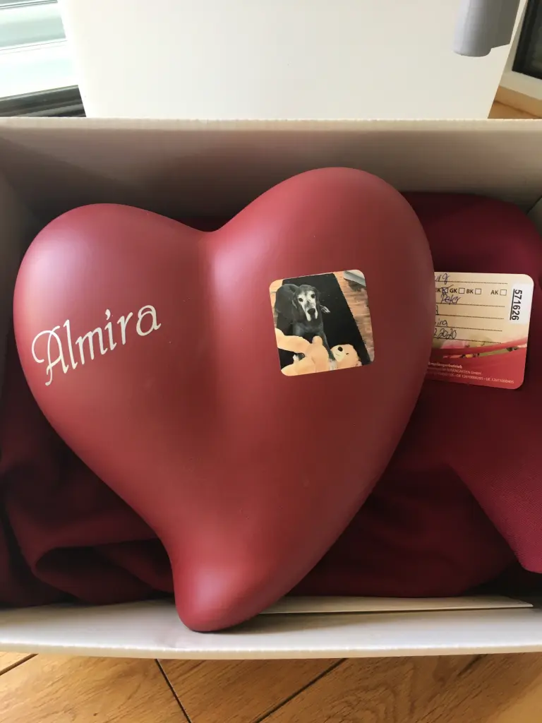 Image from Almira