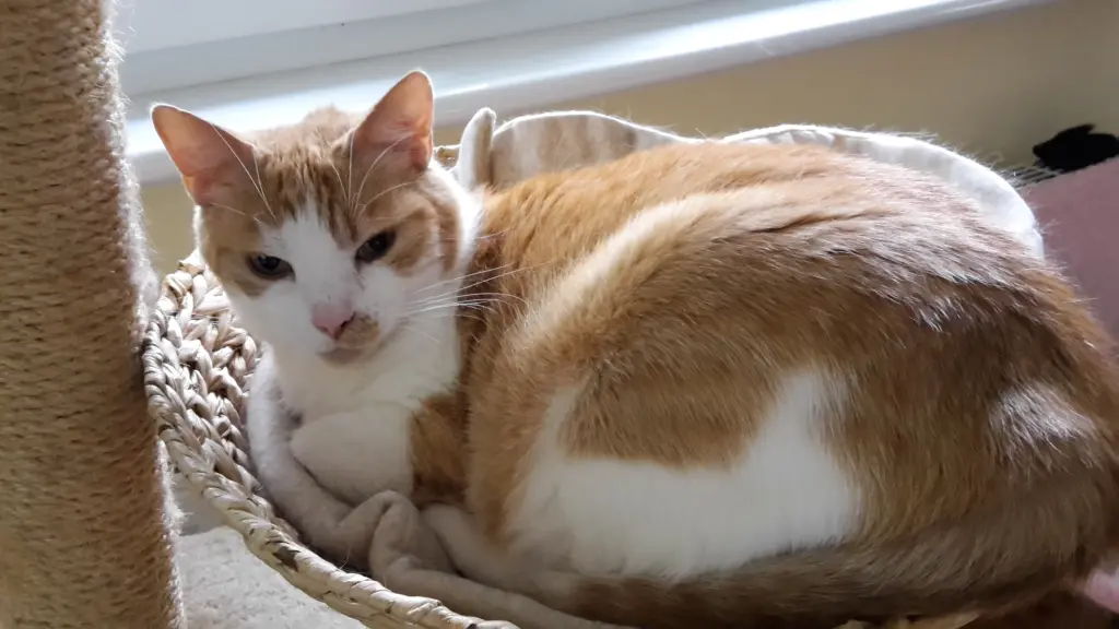 Andachtsbild von Heike& Tigger